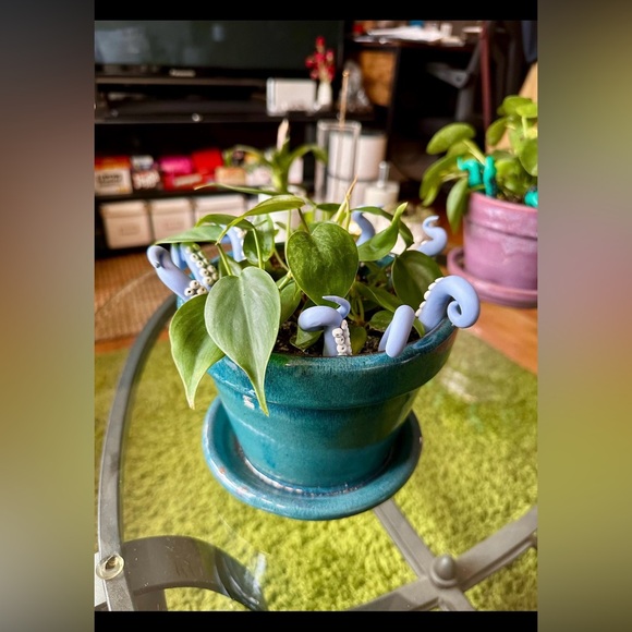 8 Baby Blue Sea Creature Tentacles 🦑Decor Tentacle Unique Modern Indoor Plant - Picture 5 of 10